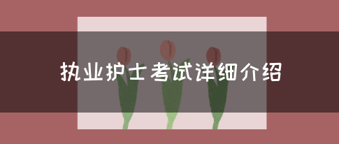执业护士考试详细介绍(图1)