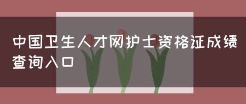 中国卫生人才网护士资格证成绩查询入口(图1)