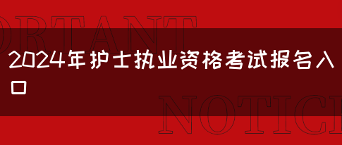 2024年护士执业资格考试报名入口(图1)