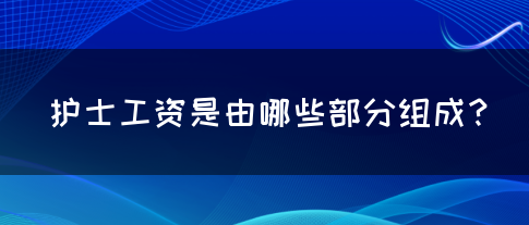 护士工资是由哪些部分组成？(图1)